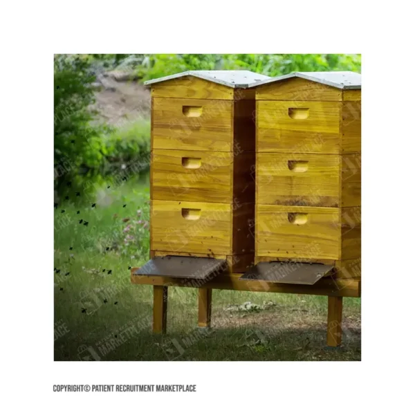 GIF - Chronic Hives - Bees - Image 2