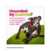 Social Media Graphic - Eczema - Hound - Image 2