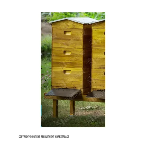 GIF - Chronic Hives - Bees - Image 3